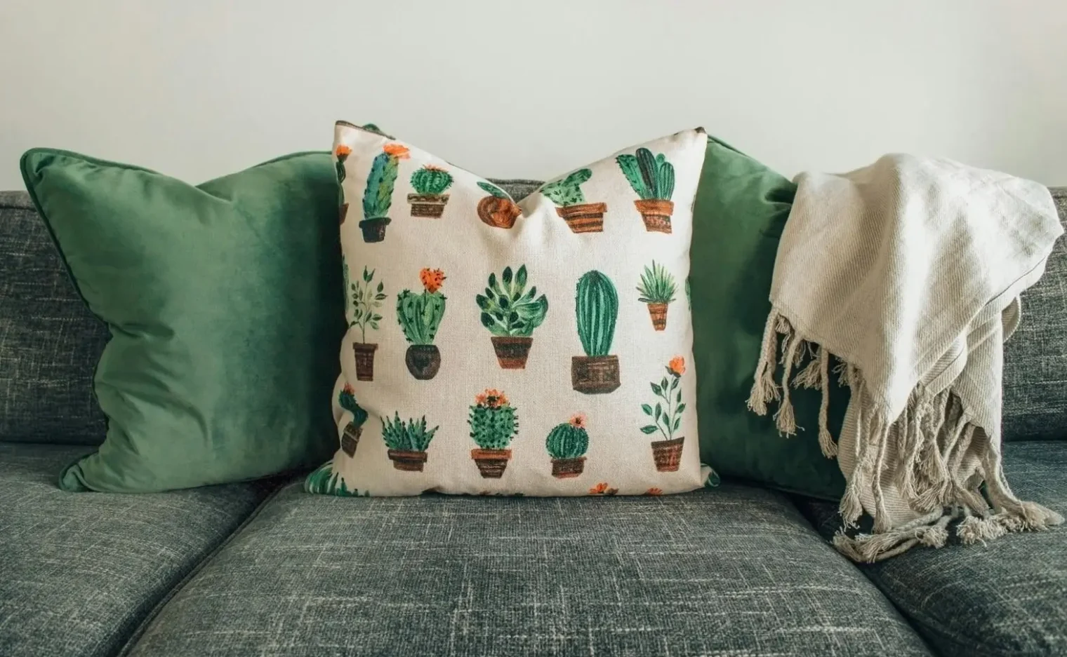 pexels-designecologist-1248583